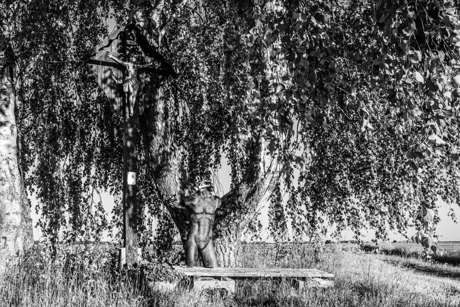 Rudi Zimmermann, Fotografei, Serie Denkmal